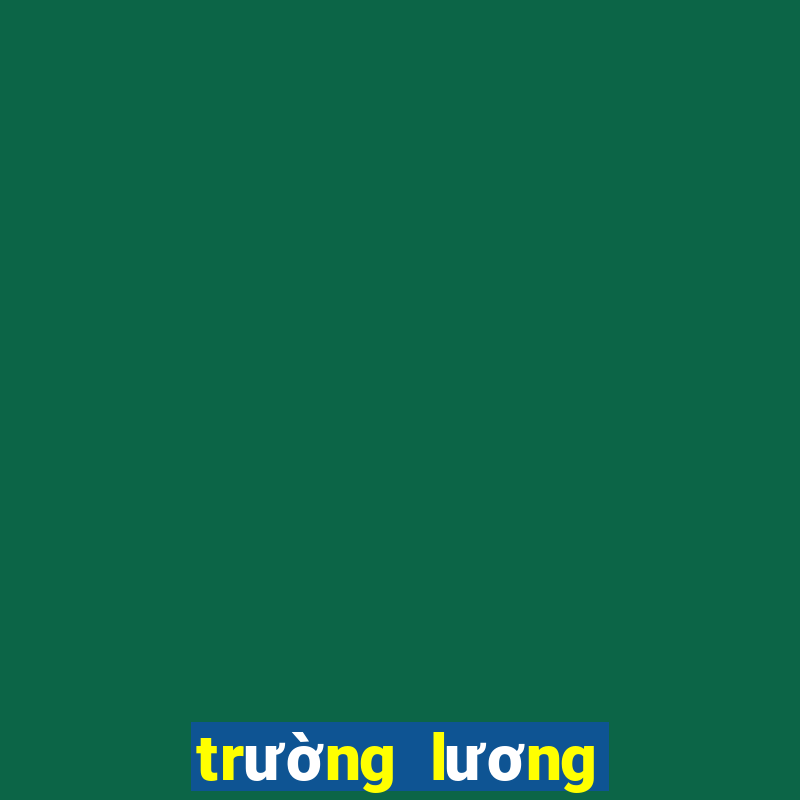 trường lương thế vinh quận 7