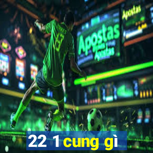 22 1 cung gì