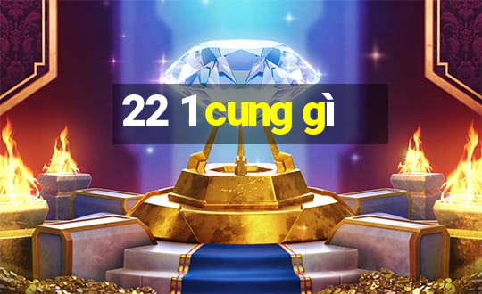 22 1 cung gì