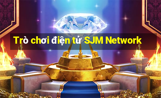 Trò chơi điện tử SJM Network