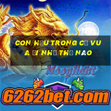 con hậu trong cờ vua đi như thế nào