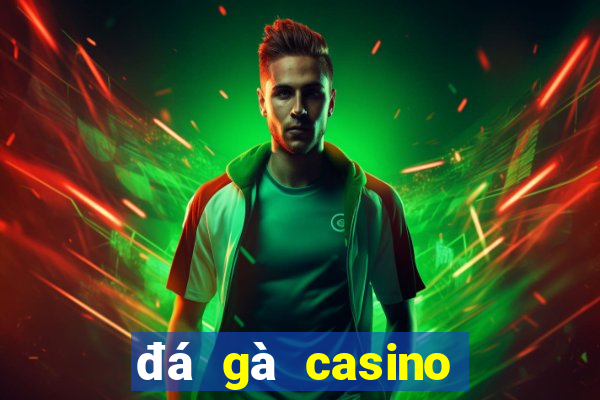 đá gà casino mới nhất