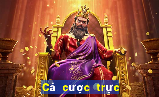 Cá cược trực tuyến 8jbet