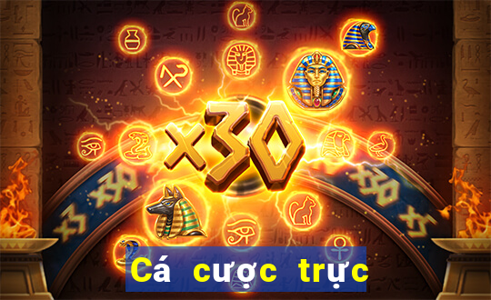 Cá cược trực tuyến 8jbet