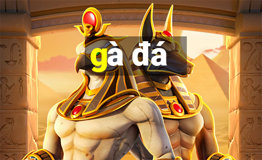 gà đá