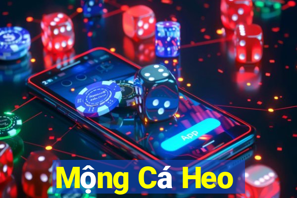 Mộng Cá Heo