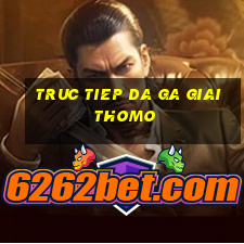 truc tiep da ga giai thomo