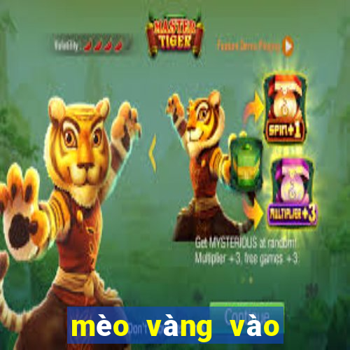 mèo vàng vào nhà có điềm gì