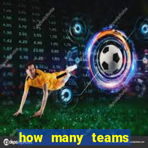 how many teams qualify for euro 2024