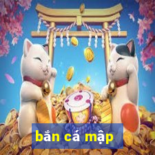 ban ca map