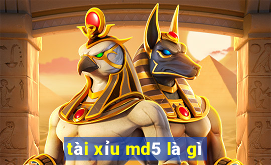 tài xỉu md5 là gì