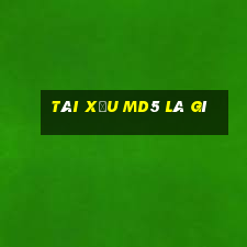 tài xỉu md5 là gì