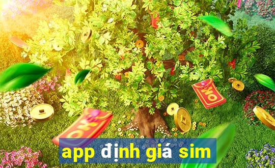 app định giá sim