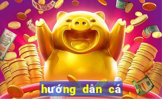 hướng dẫn cá độ bóng đá