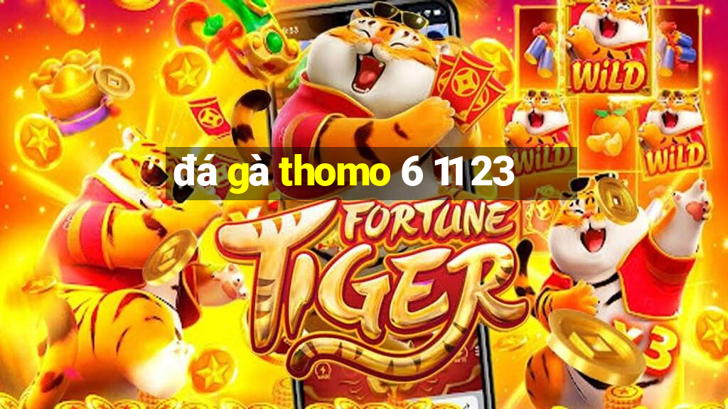 đá gà thomo 6 11 23