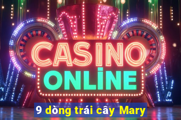 9 dòng trái cây Mary