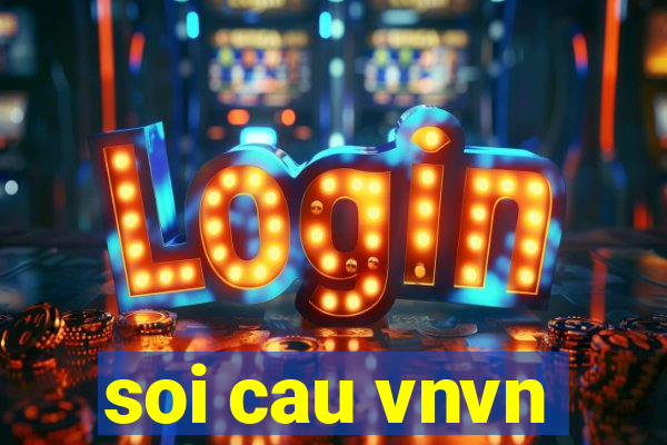 soi cau vnvn