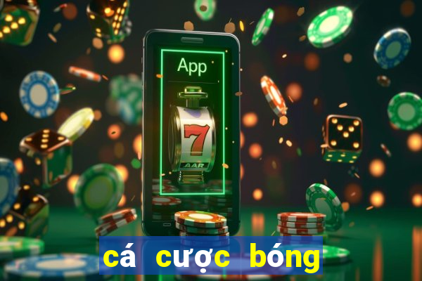 cá cược bóng đá quảng nam