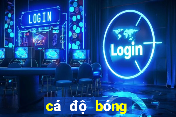 cá độ bóng đá tài xỉu là gì