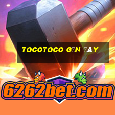 tocotoco gần đây