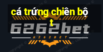 cá trứng chiên bột