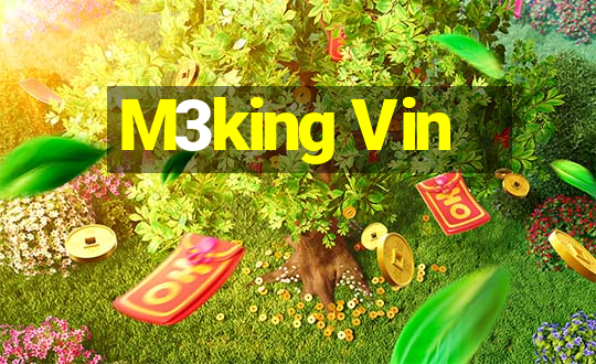 M3king Vin