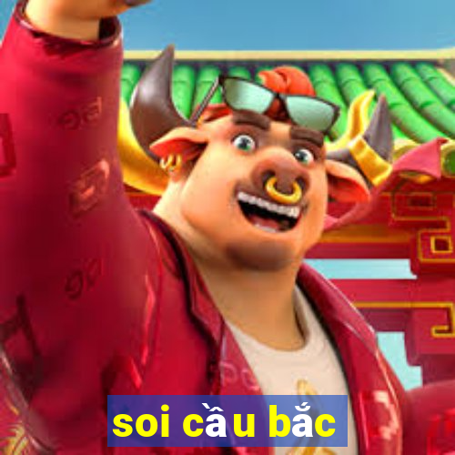 soi cau bac