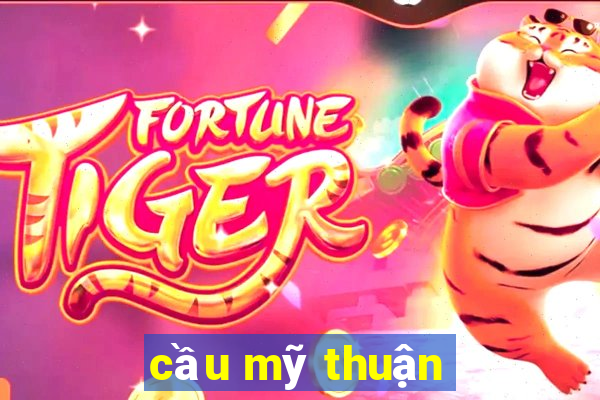 cầu mỹ thuận