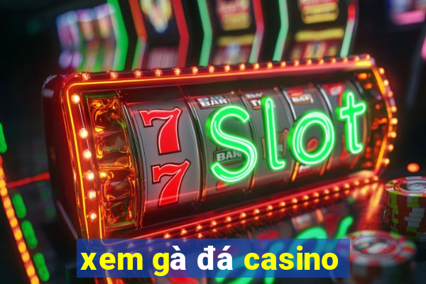 xem gà đá casino