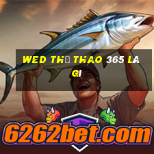 wed thể thao 365 là gì