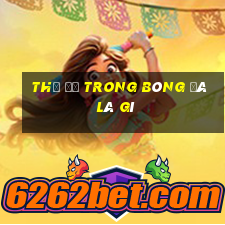 thẻ đỏ trong bóng đá là gì