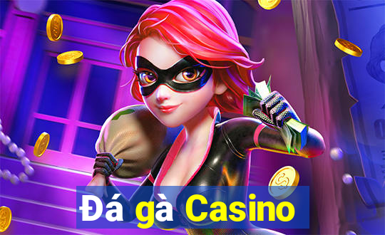 Đá gà Casino