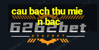 cau bach thu mien bac