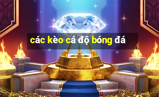 các kèo cá độ bóng đá