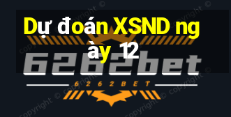 Dự đoán XSND ngày 12