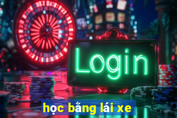 học bằng lái xe