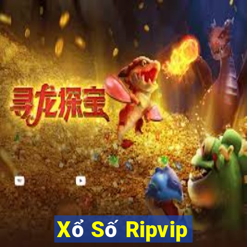 Xổ Số Ripvip