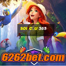 soi cầu 365