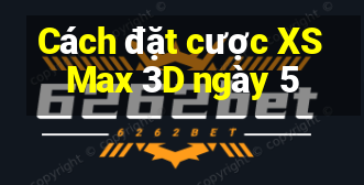 Cách đặt cược XS Max 3D ngày 5