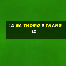 đá gà thomo 9 tháng 12