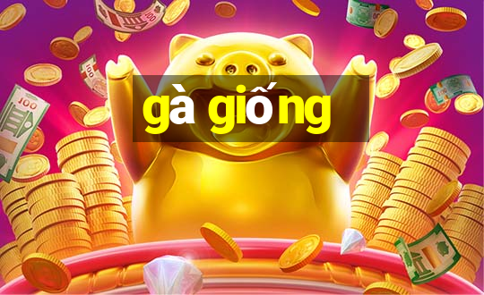 gà giống