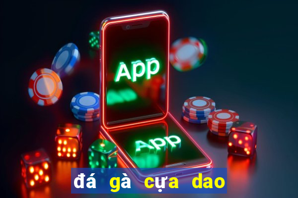 đá gà cựa dao của mỹ