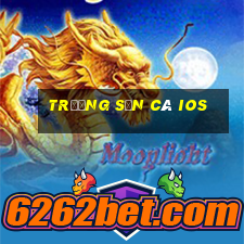 trường săn cá ios