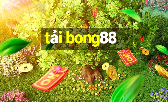 tải bong88