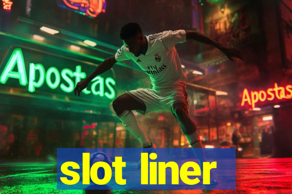 slot liner