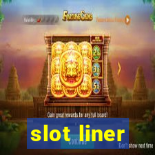 slot liner