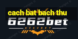 cach bat bach thu