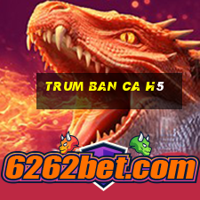 trum ban ca h5