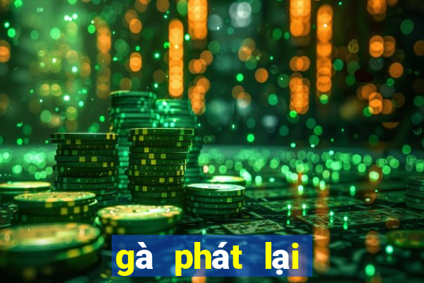 gà phát lại hôm nay