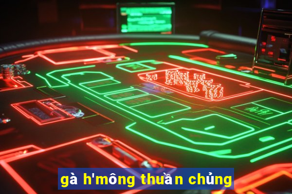 gà h'mông thuần chủng